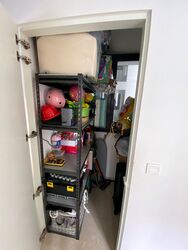 Thomson Impressions (D20), Apartment #499789351